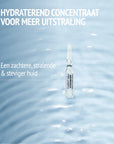 HYDRAMEMORY - HYDRA & GLOW AMPOULES